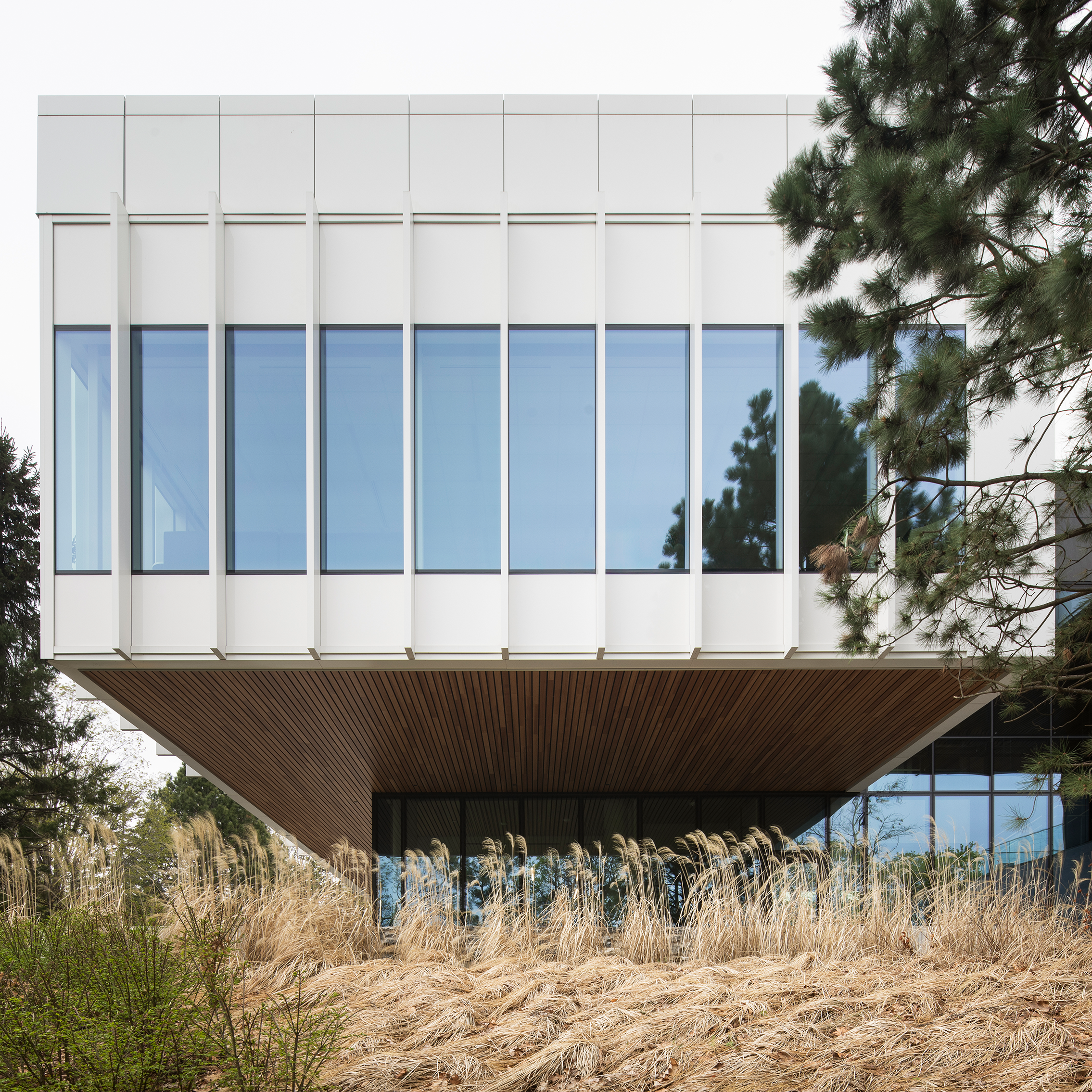 Exterior shot of the building, focused on a white and glass cube.