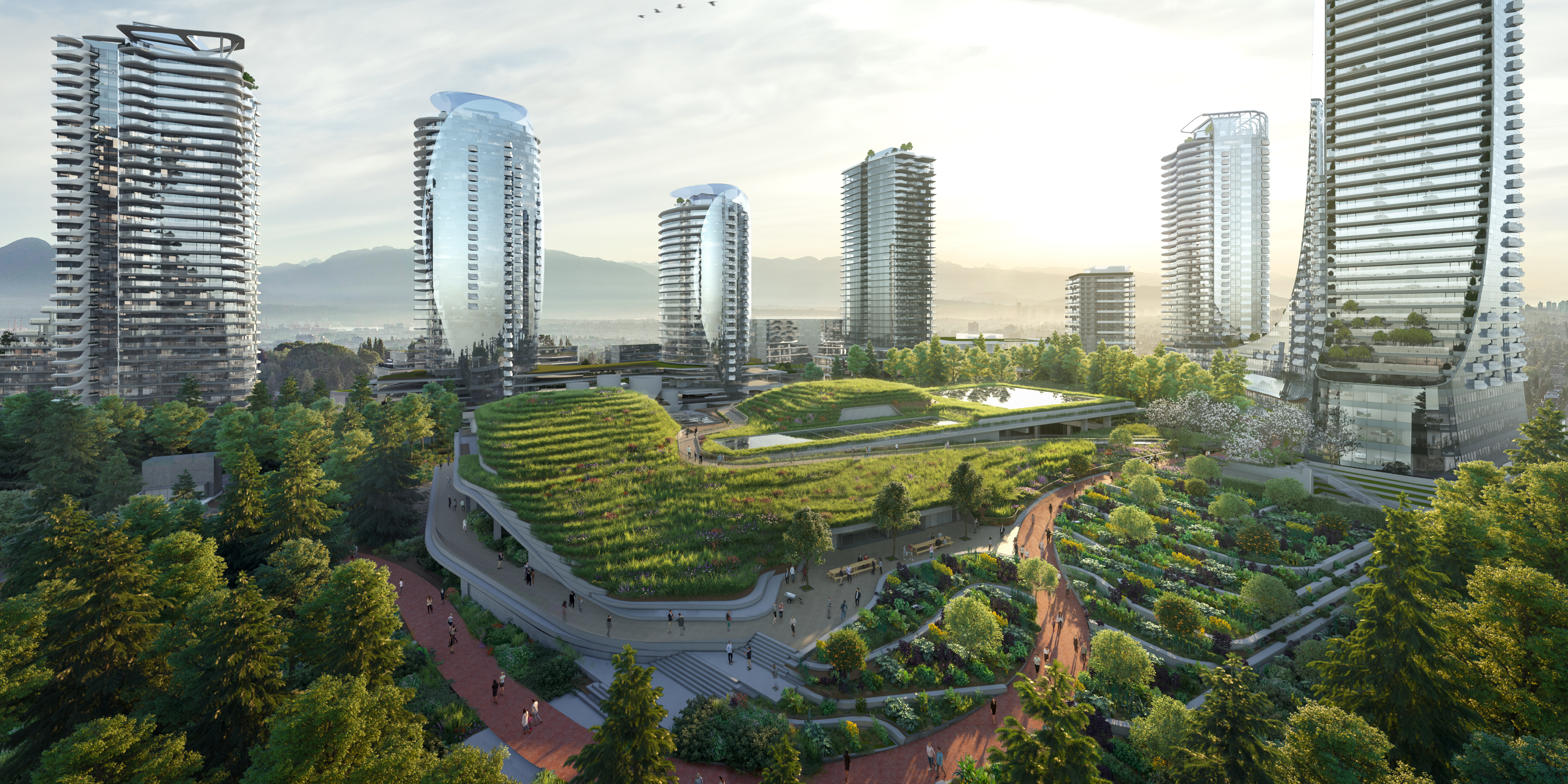 Oakridge Redevelopment