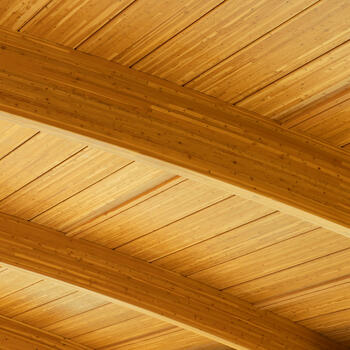 Wood ceiling of commercial office building